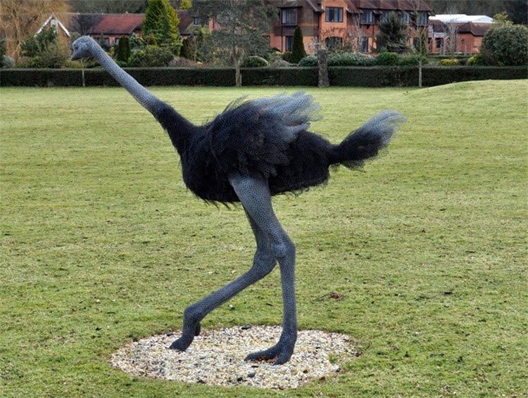 07-Ostrich-Kendra-Haste-Galvanised-Wire-Animal-Sculptures-www-designstack-co