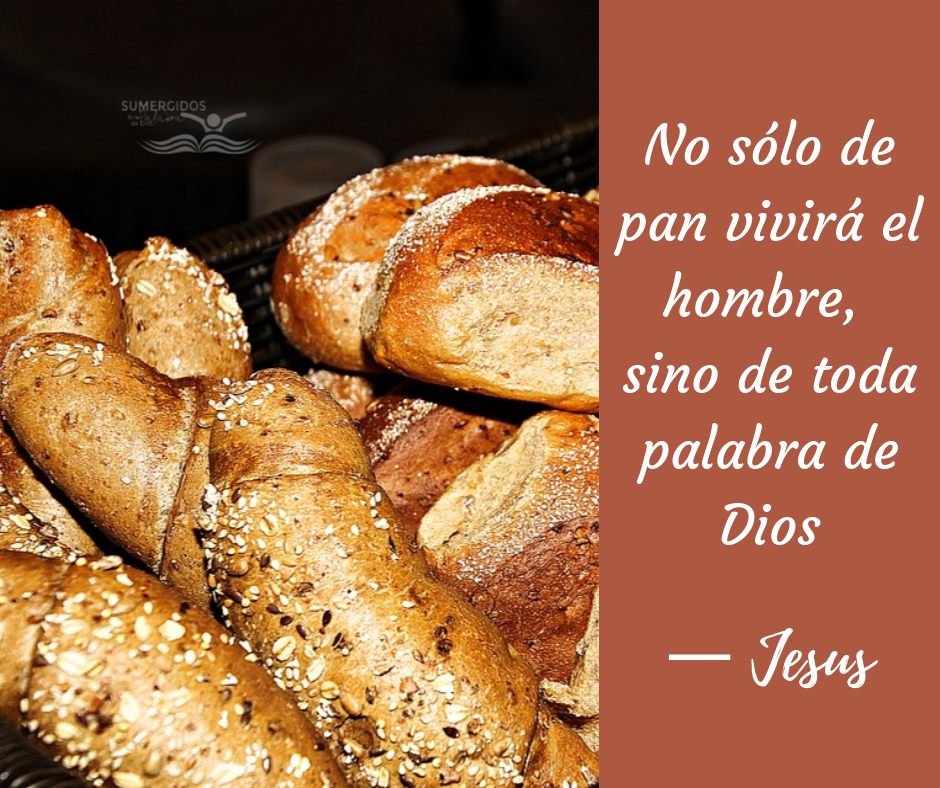 No Solo del Pan Vivira el Hombre