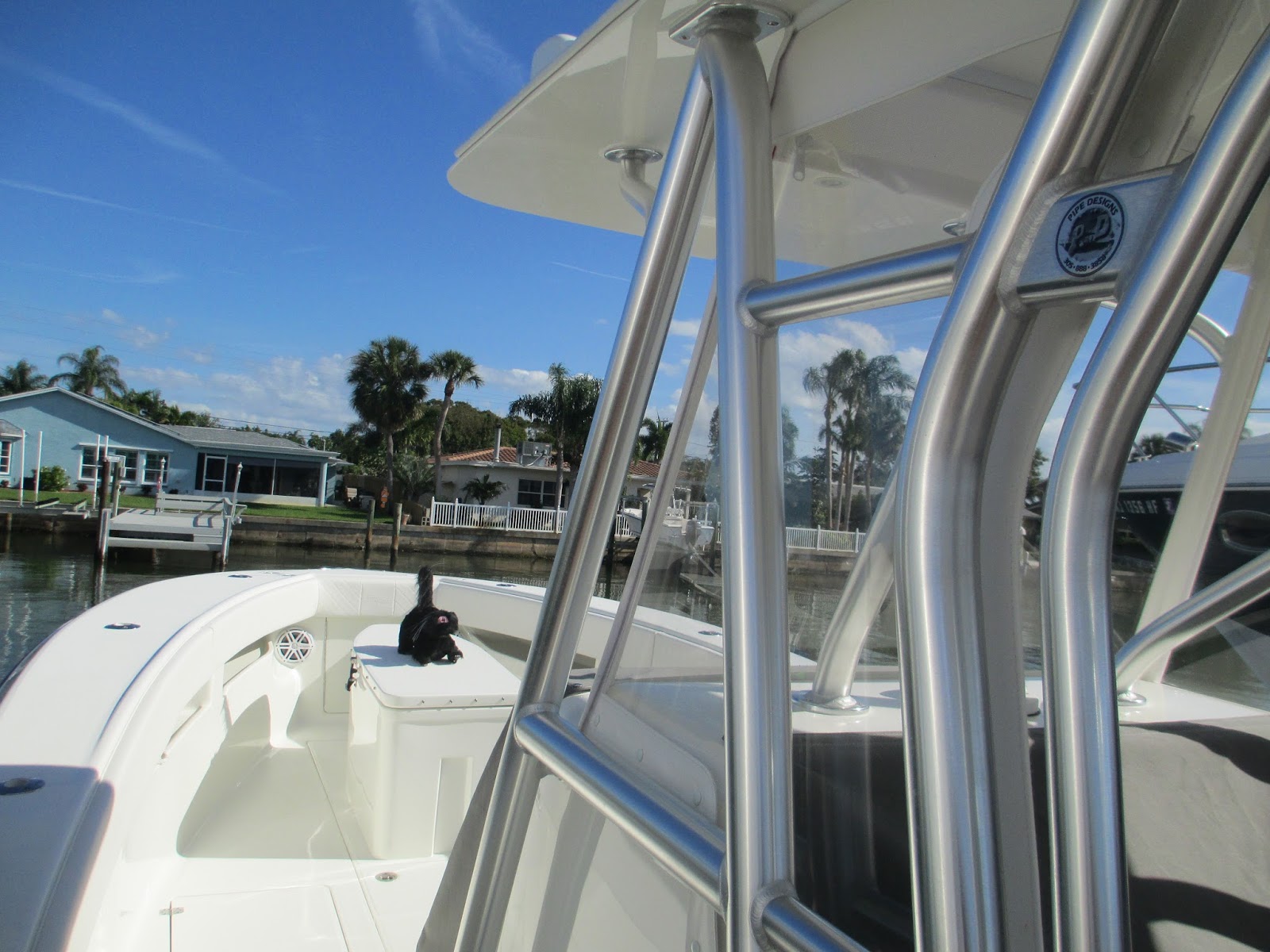 Solve bird problems using humane bird deterrents for pest bird control