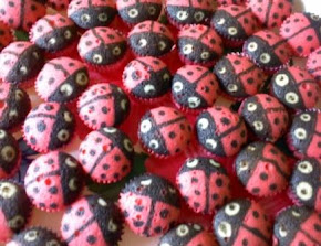 APAM LADYBIRD