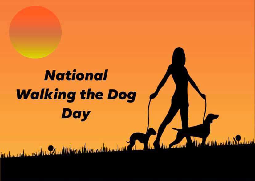 National Walking the Dog Day Wishes Pics