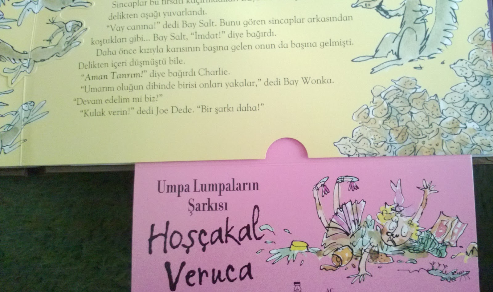 Hay Bin Okunmamış Kitap Charlie'nin Çikolata Fabrikası Roald Dahl