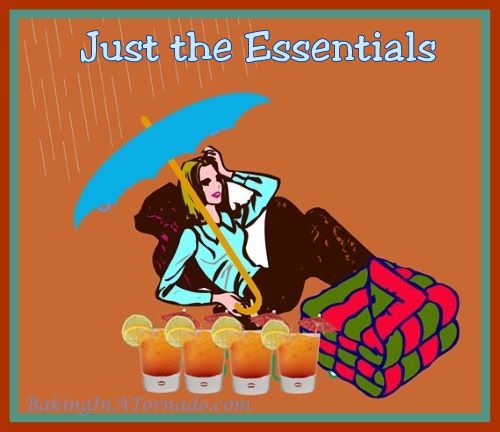 Just the Essentials | graphic designed by and property of www.BakingInATornado.com | #MyGraphics #humor