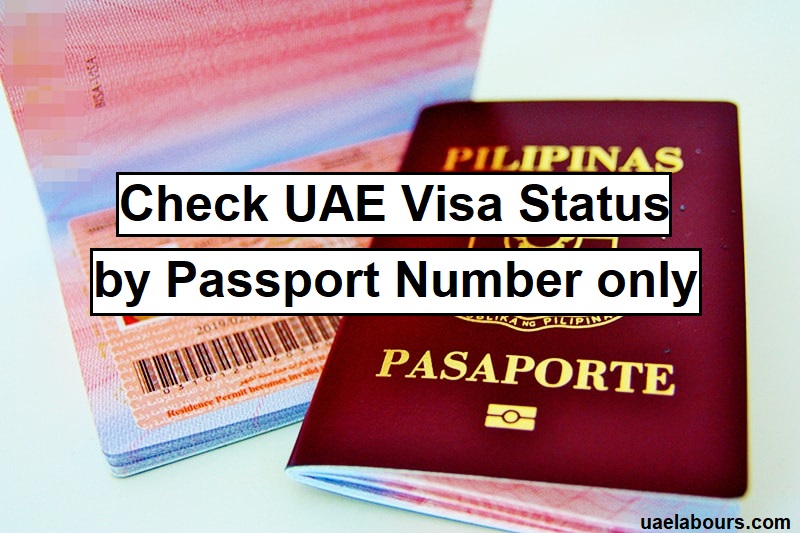 Dubai visa. Visa status. UAE visa status. UAE vis. Visa checks