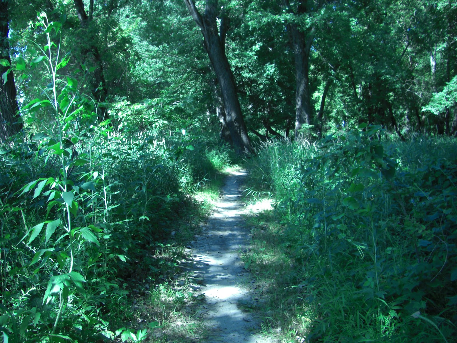 MN Bike Trail Navigator Minnesota River Bottoms West Segment in Great