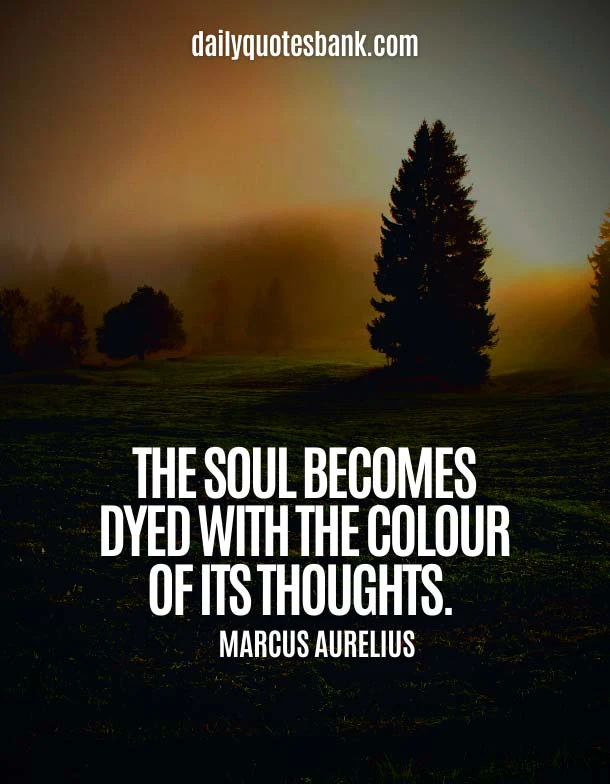 Best Beautiful Soul Quotes and Sayings