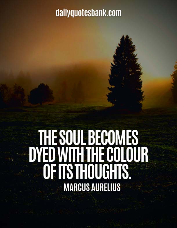 150+ You Are A Beautiful Soul Quotes For Her and Him