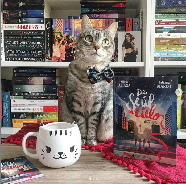 Las Lecturas Del Gato De Seul Al Cielo Una Novela Enredada En Todos Los Hilos Rojos
