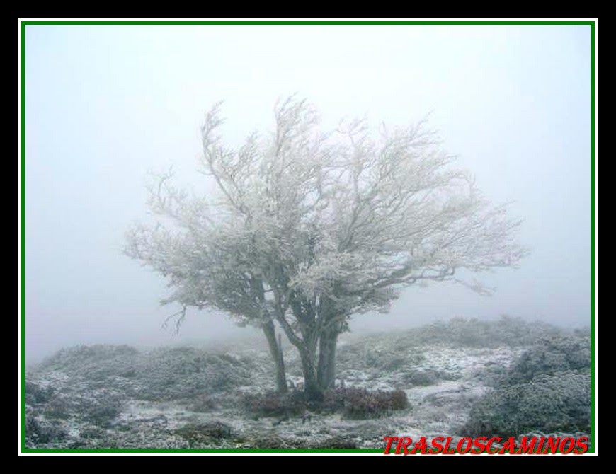 Tras los caminos Arnaba y Otzamendi desde el valle de Lana por