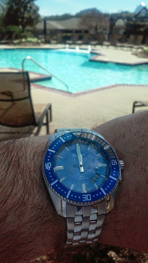 The Watch Dude: Watch Pictures - Pulsar Diver-Style Watch Pictures