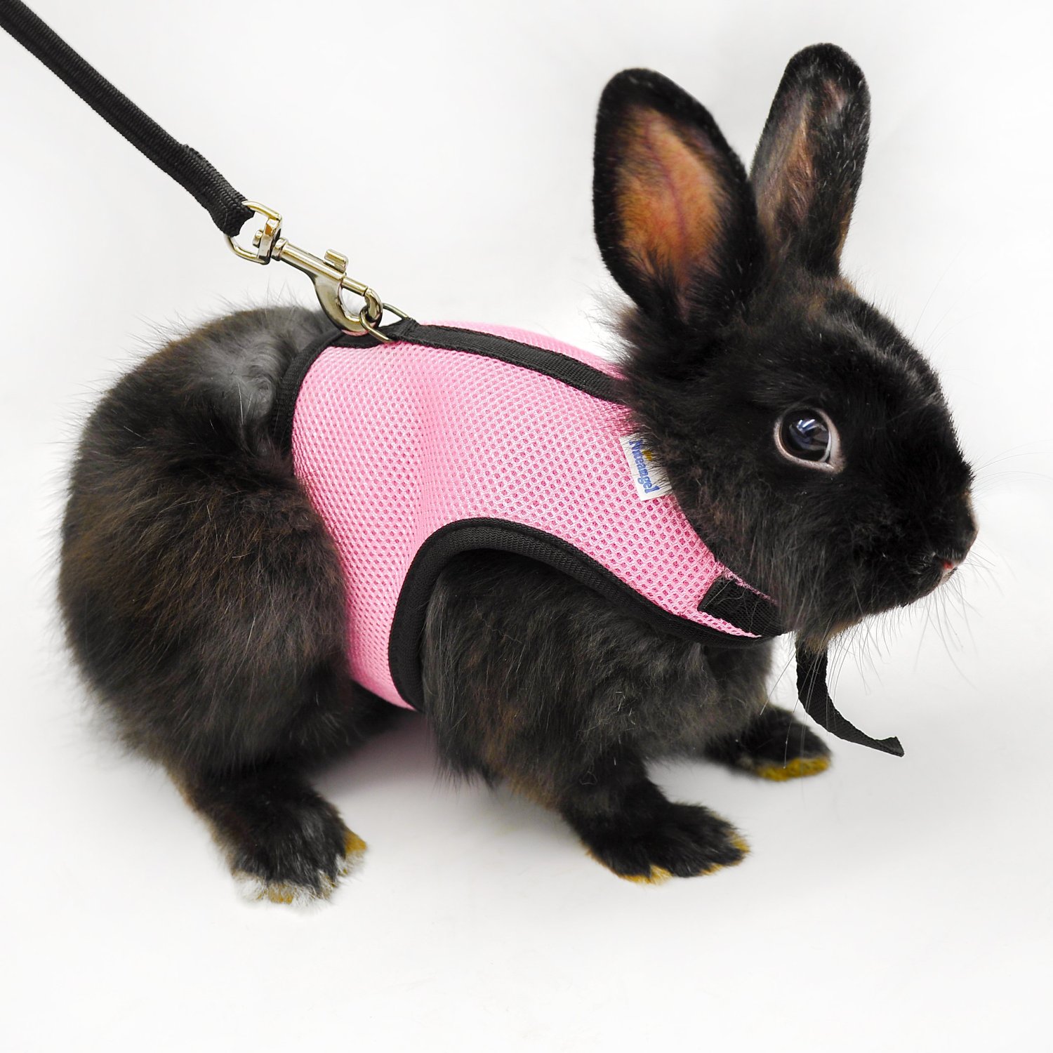 Rabbit Pet Lover Niteangel Soft Harness with Lead for Rabbits