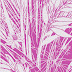 Leaf, flowers and textured surface pattern design in brush photoshop plugin