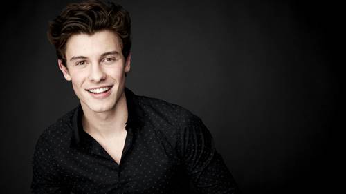 Biodata Shawn Mendes Terbaru | Profil, Biografi, Fakta, Foto, Album