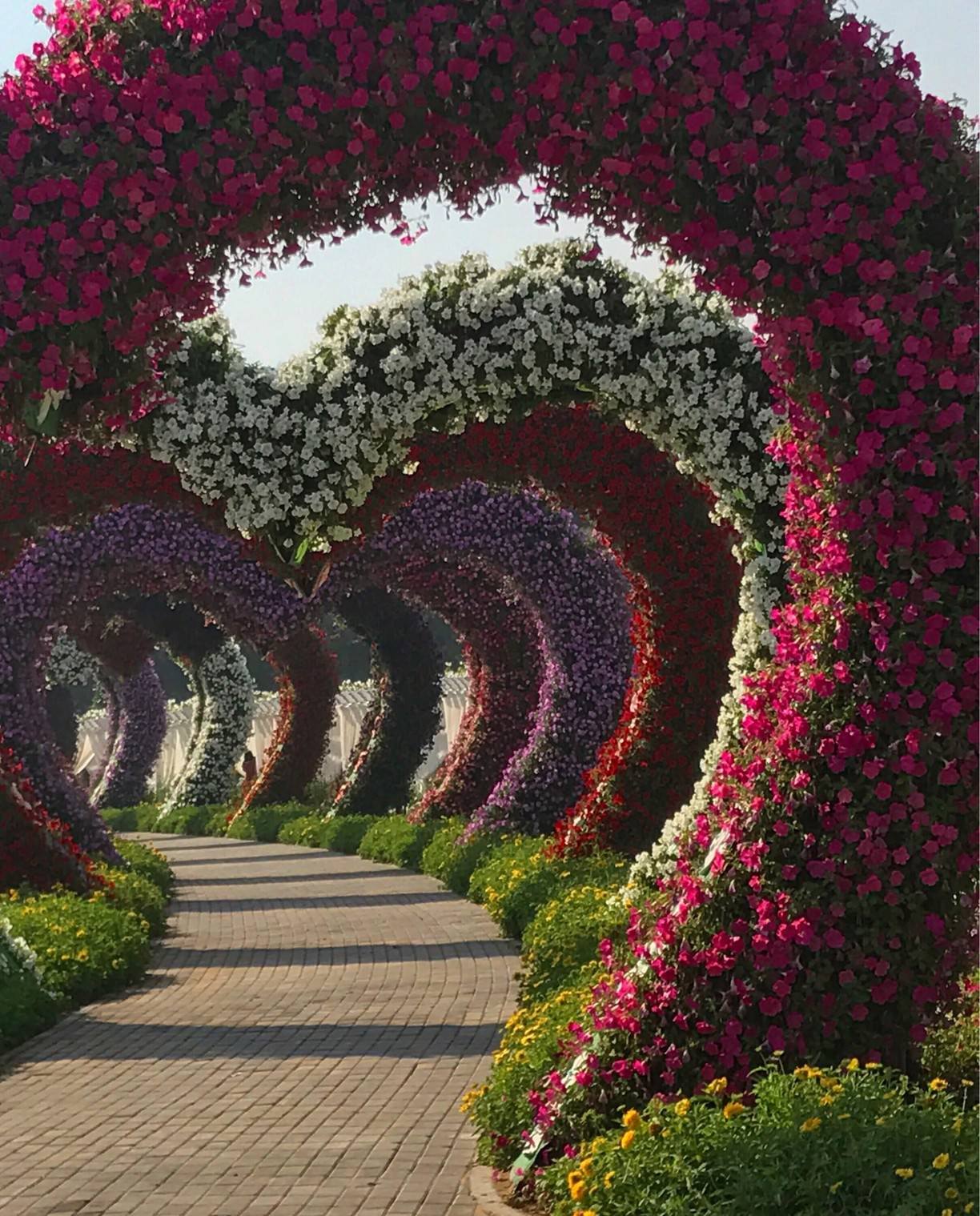 Видео сада с цветами. Миракл Гарден Дубай. Цветочный парк в Дубае. Фловер Гарден Дубай. Гарден парк Дубай.