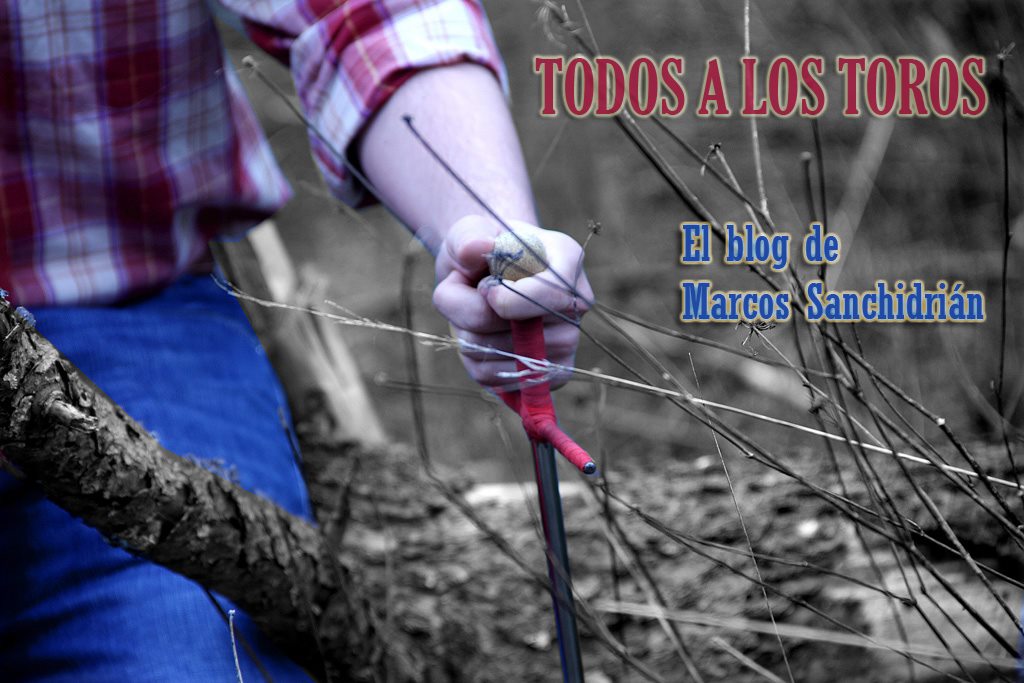 Todos a los Toros 'Mimamos a los toreros y hacemos lo que nos piden'