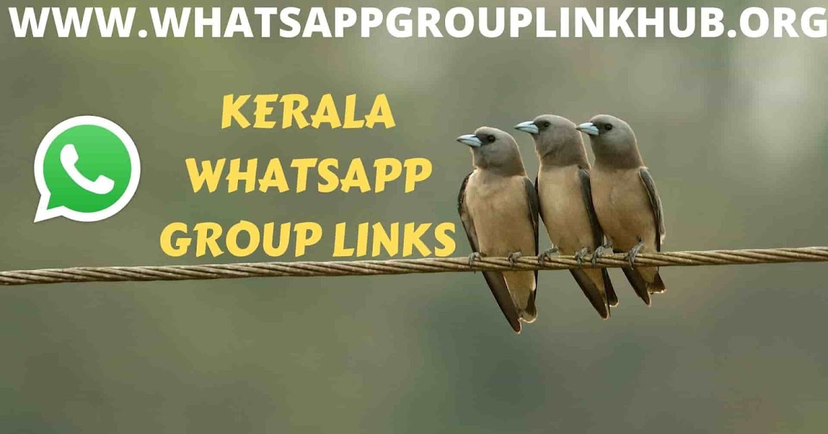 Simple FFDIAMOND.ONLINE Free Fire Whatsapp Group Link Kerala 2020  Top