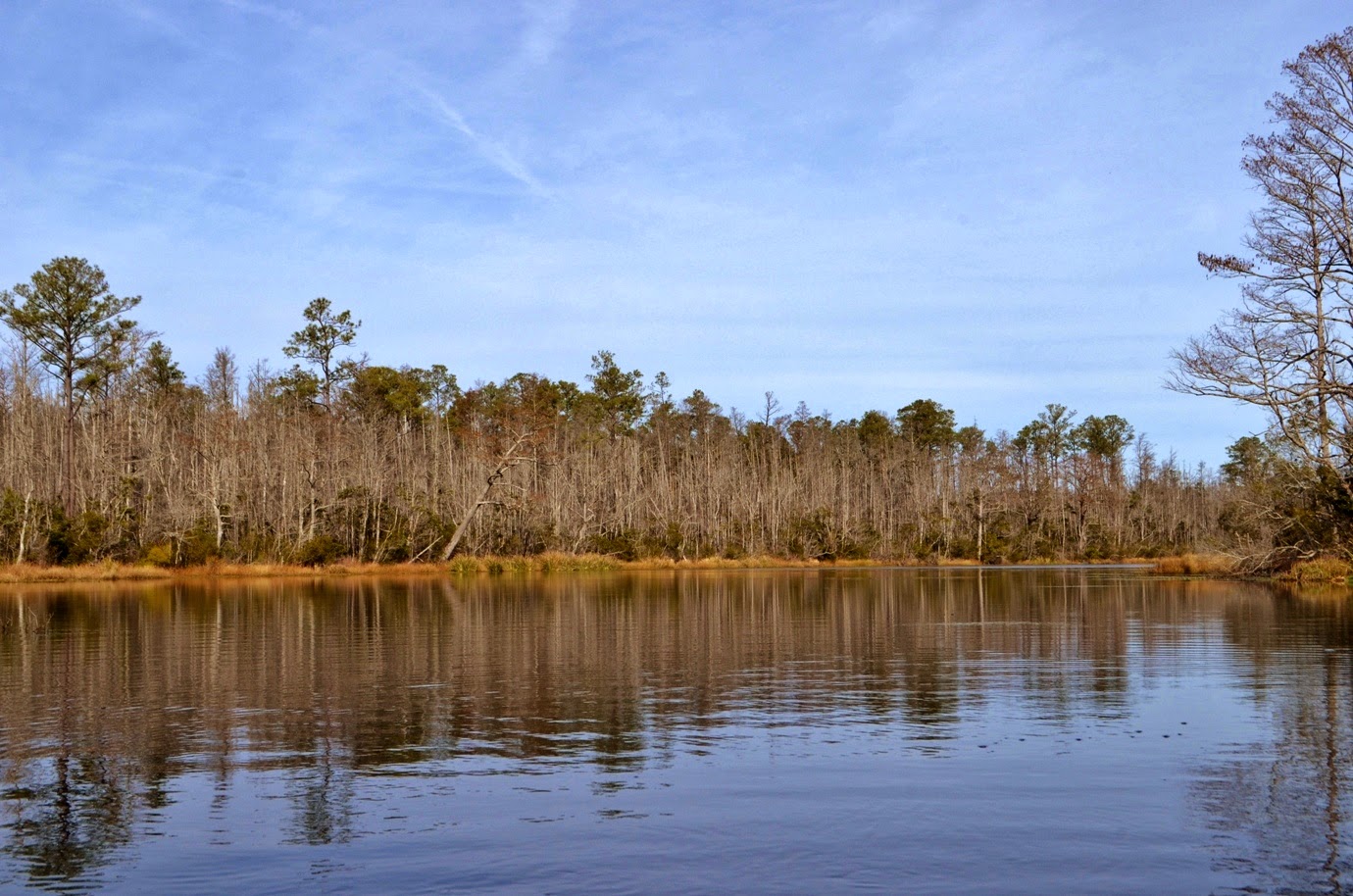 Waterfall Hero Hikes Paddling Alligator River