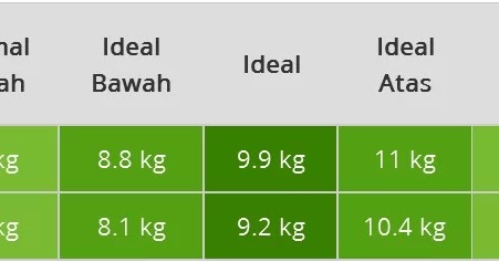 Berat Badan & Tinggi Anak Usia Satu Tahun Satu Bulan Laki-Laki & Perempuan
