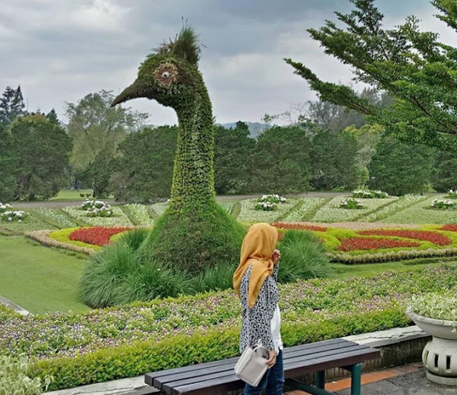 Wisata Terbaru Cianjur Selatan