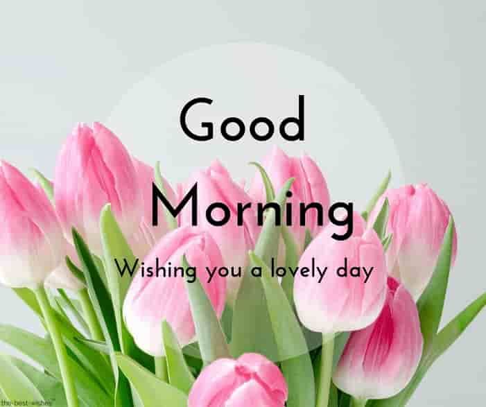 good morning images in telugu