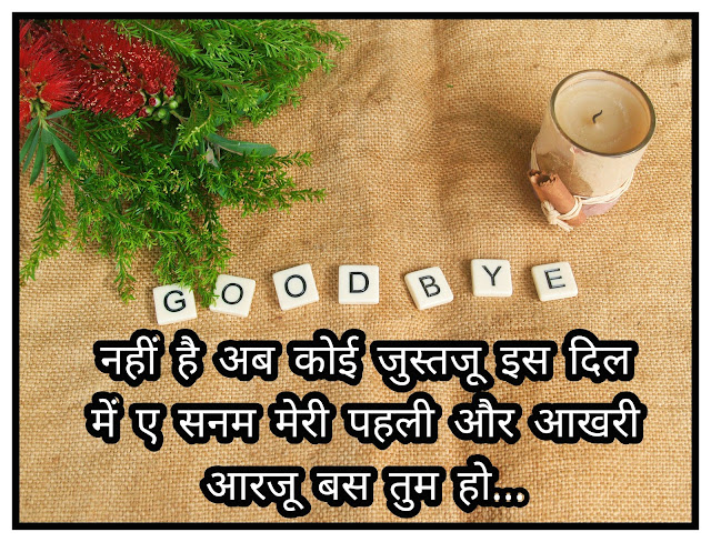 Goodbye Status In Hindi