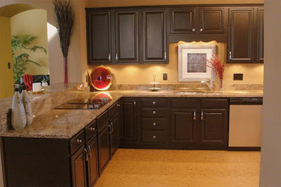 Various Shapes For Renovated Kitchen Interior Design , Home Interior Design Ideas , http://homeinteriordesignideas1.blogspot.com/