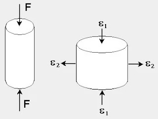 Coefficient de Poisson Expliqué 💪 (Formule Et Exemples) 2021