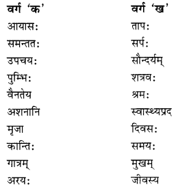NCERT Solutions for Class 10 Sanskrit Shemushi Chapter 3 व्यायामः सर्वदा पथ्यः