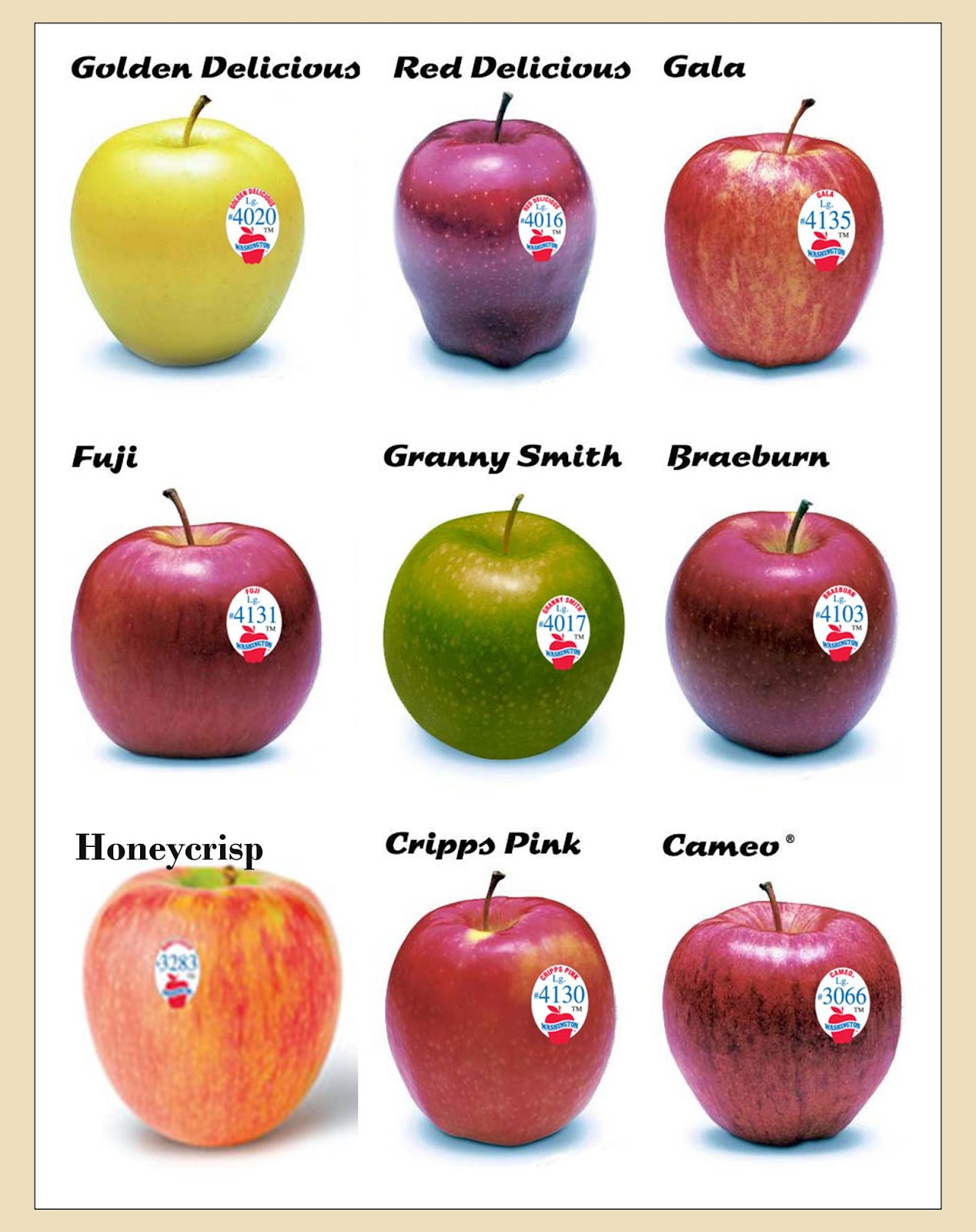 Kinds Of Apples Chart
