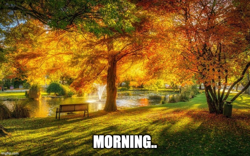 Morning..