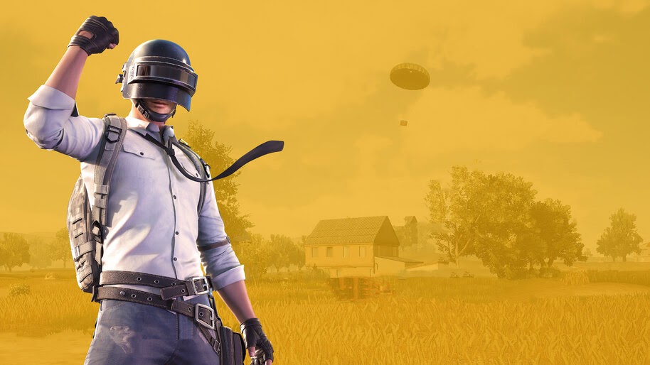 PUBG, PlayerUnknowns Battlegrounds, 4K, #3.2674