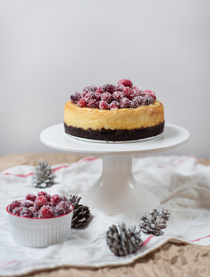 Mascarpone Cheesecake with Sugared Cranberries - Obsessive Cooking Disorder