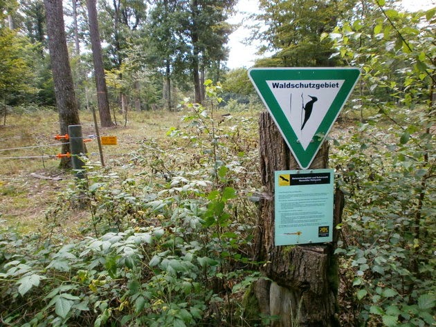Wege in der Region Stuttgart Naturschutzgebiete im Landkreis Böblingen