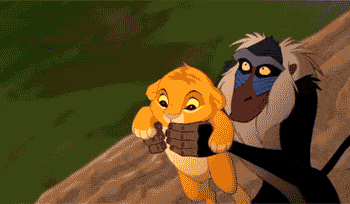 Image result for monkey at a typewriter gif