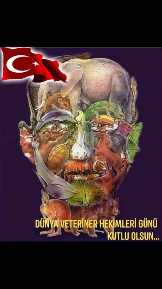 тест на альцгеймера найти верблюда