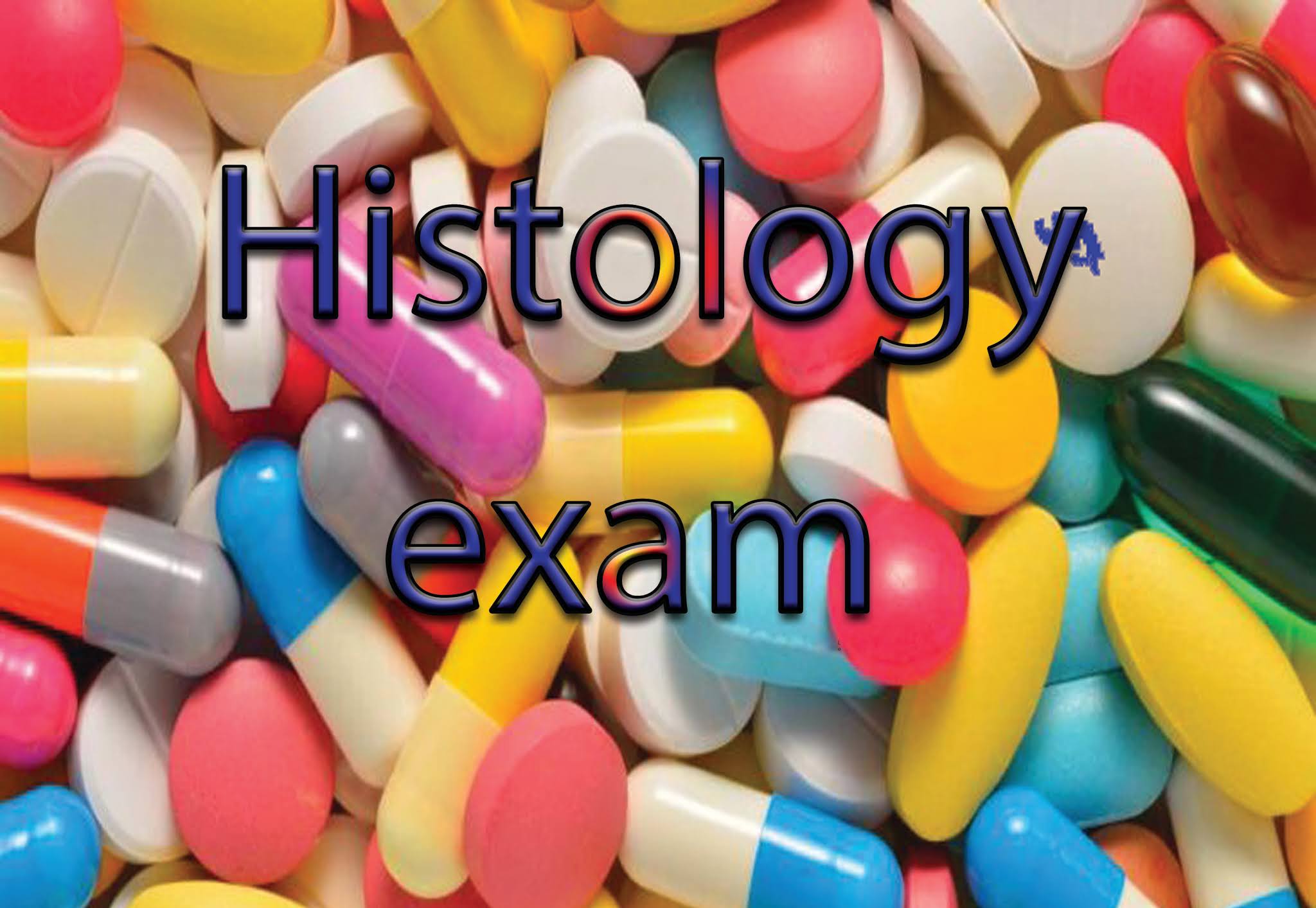 Histology quiz 3 C.T