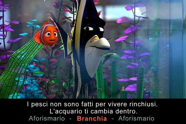 Aforismario Aforismi Frasi E Citazioni Sull Acquario E I Pesci Rossi