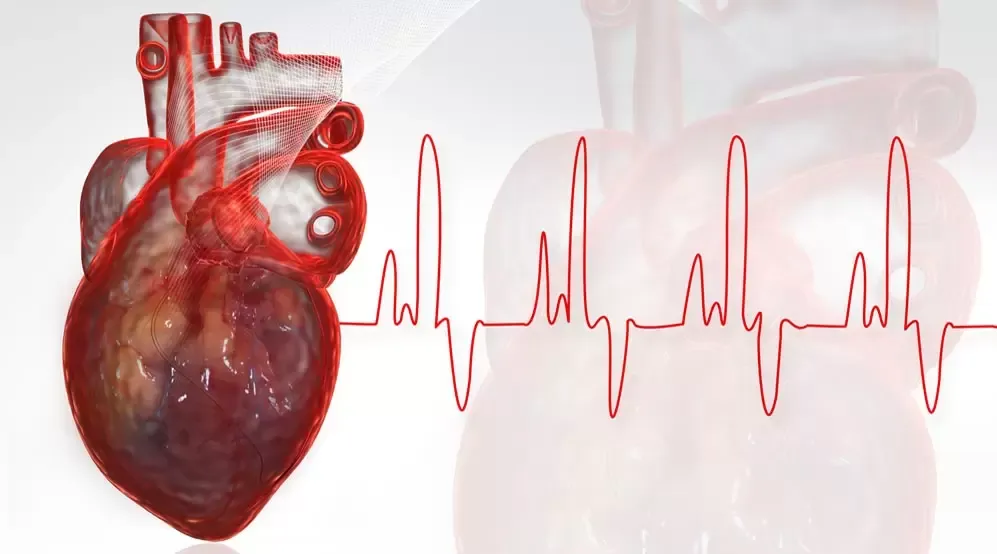 80% Dos Ataques Cardíacos Poderiam Ser Evitados se Todos Fizessem Essas 5 Coisas Simples