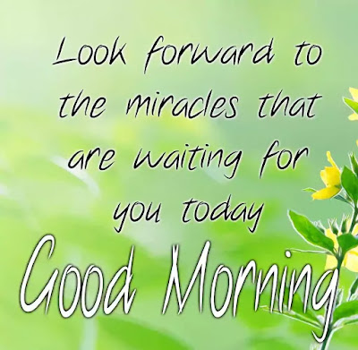 Good Morning Images Good Morning Images