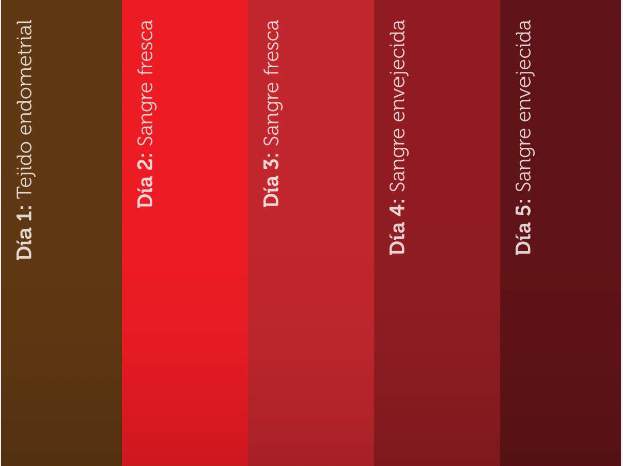 El color de la Sangre de tu Periodo y lo que dice sobre tu Salud