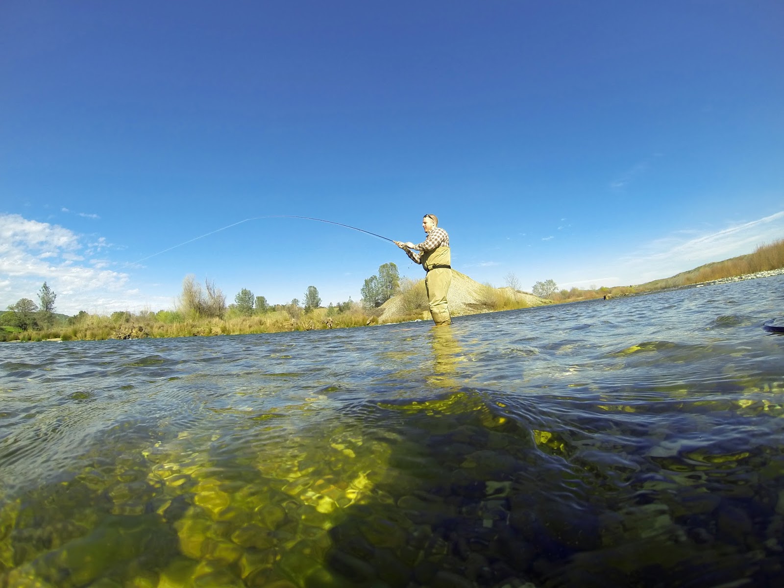 Jon Baiocchi Fly Fishing News Lower Yuba River Fishing Report 3/2/2016