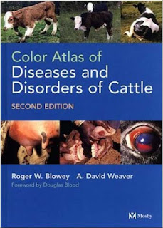 Color Atlas of Diseases and Disorders of Cattle ,2nd Edition