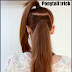 Hair Trick: Super Long Ponytail