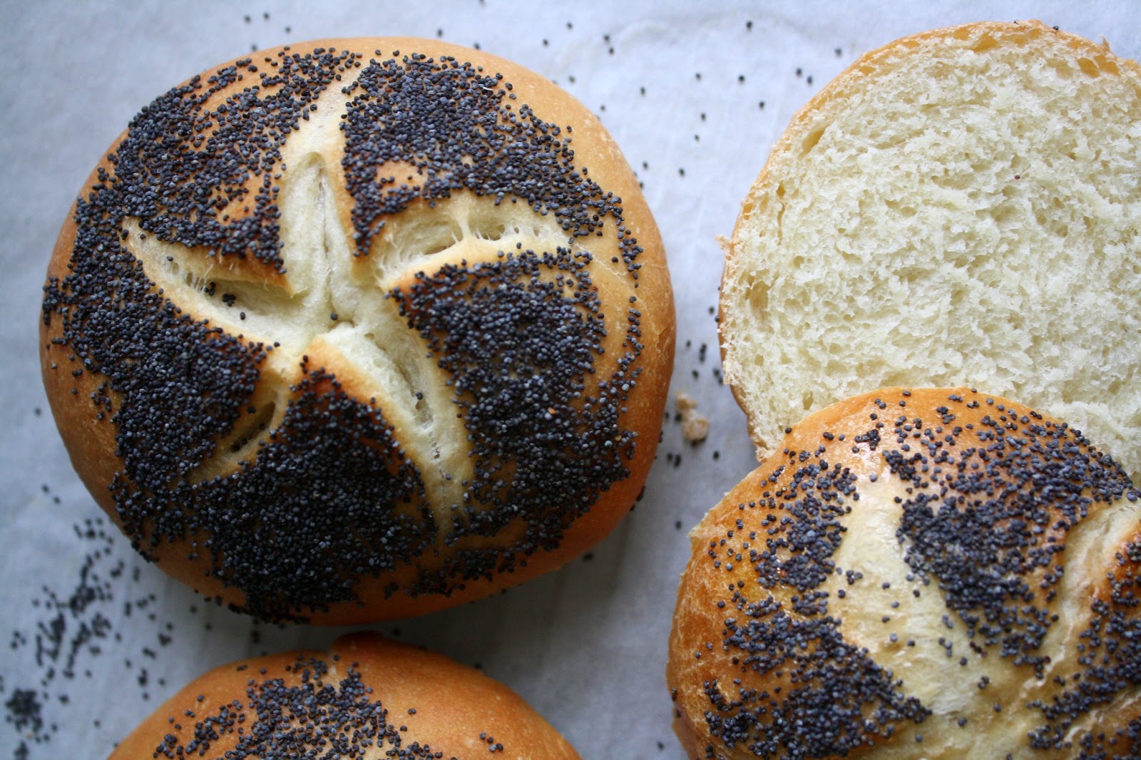 Jane's Sweets & Baking Journal New Years, Old Places, and PoppySeed