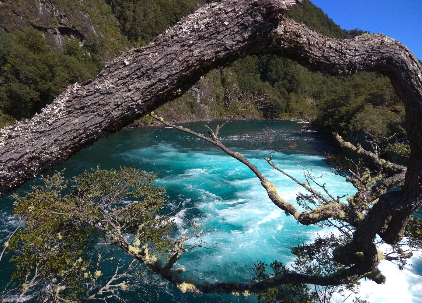 Vicente Pérez Rosales National Park, Chile (with Map & Photos)
