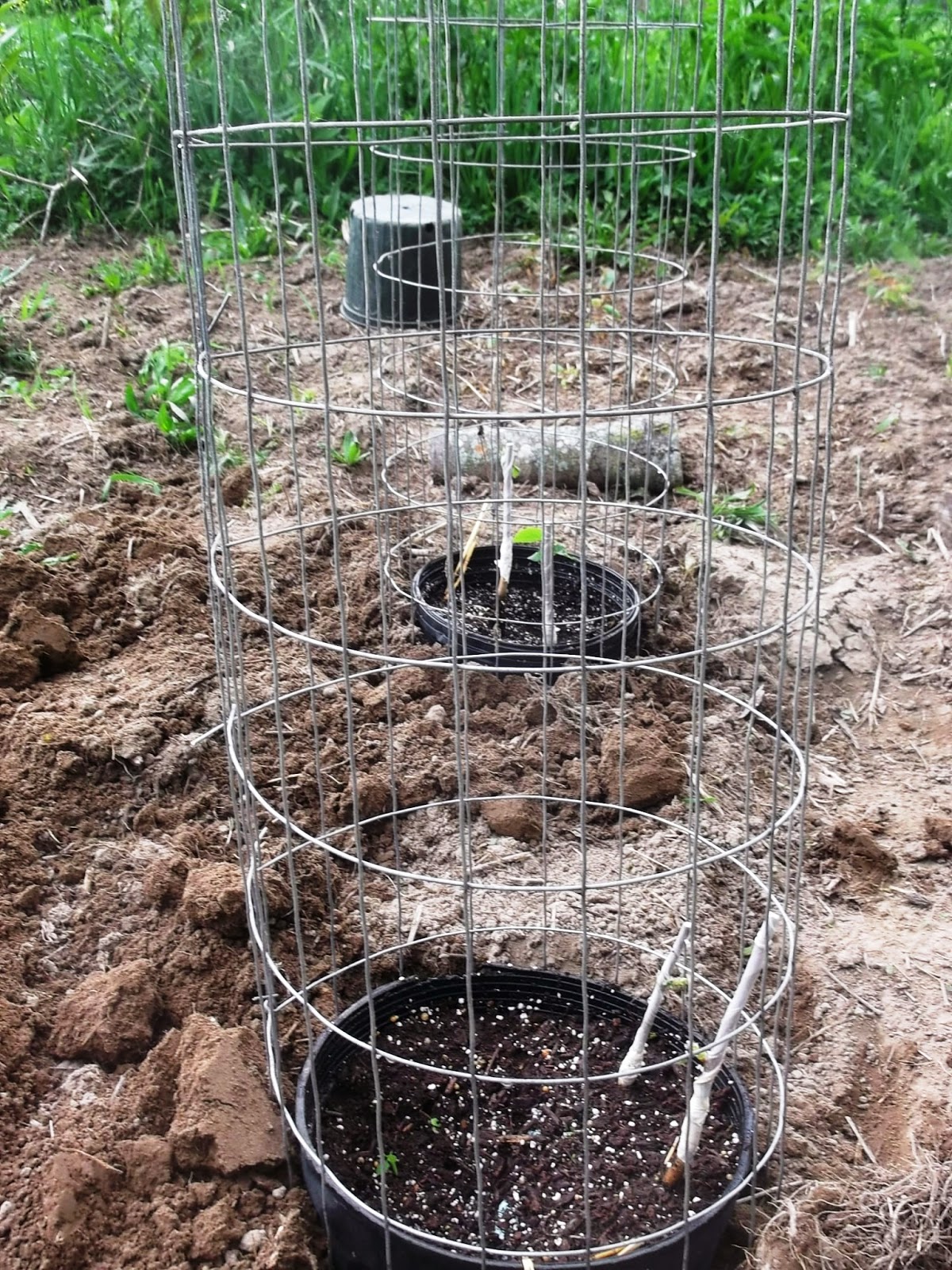 Eaton Rapids Joe Yard Sale bargains