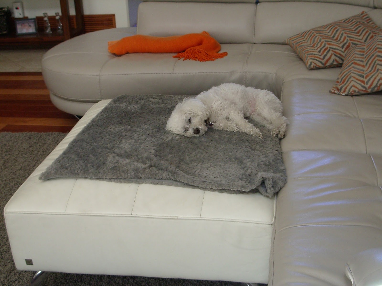 My Life With The Critters July 2015