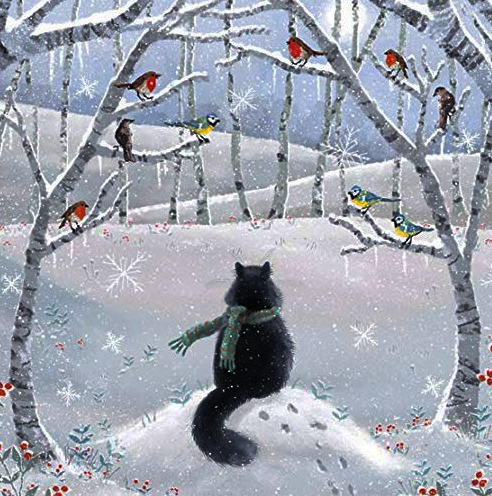 Das Lied Der Dicken Dame 01 12 2019