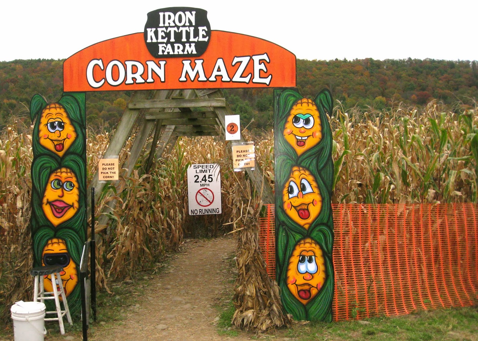 365 Binghamton 1 Iron Kettle Farm