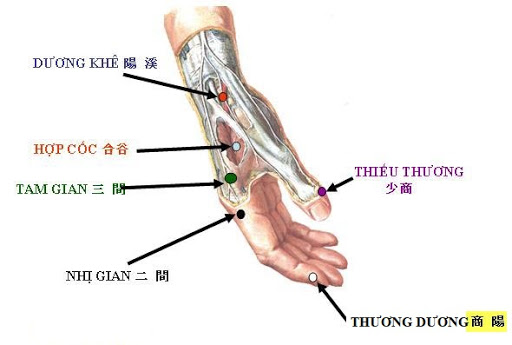 Vị trí huyệt thiếu thương